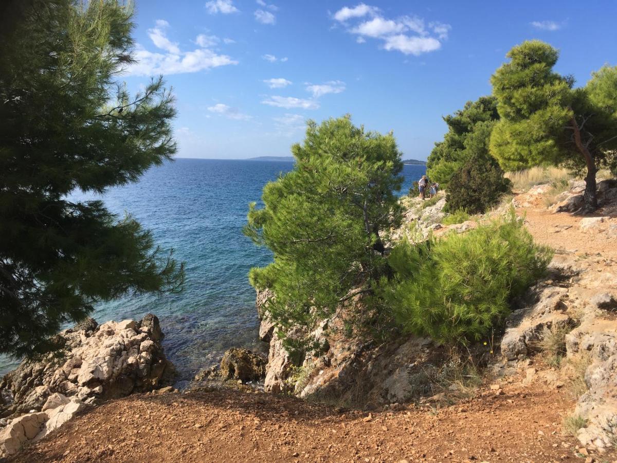 Luxury Seaside Villa With A Classic Mediterranean Olive Garden, A Fully Equipped Professional Kitchen, Pool, Sauna, Padle Boards And Canoe - Miolin Beach House Trogir Exterior foto